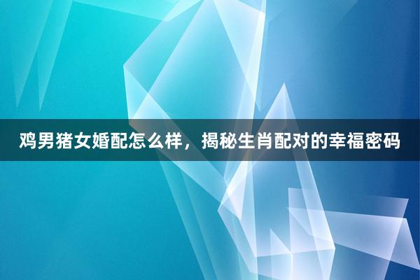 鸡男猪女婚配怎么样，揭秘生肖配对的幸福密码